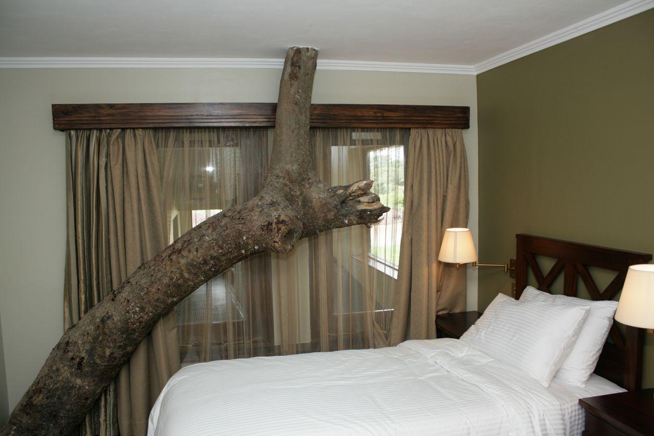 Treetops Mweiga 객실 사진